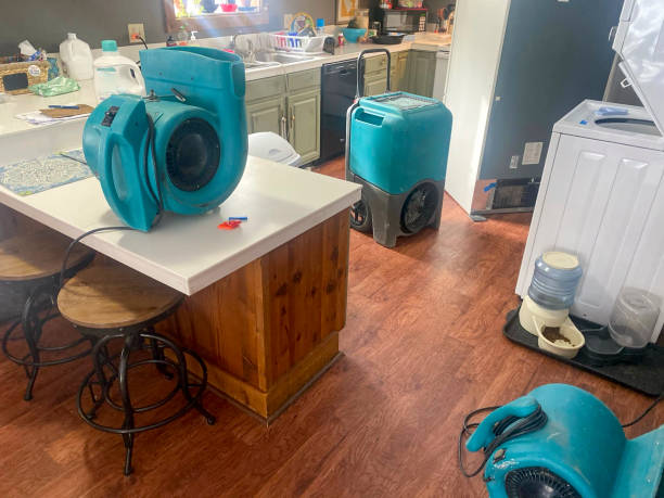 Best Fire Damage Restoration  in New Prague, MN