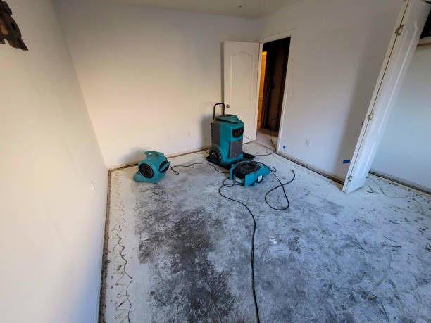 Professional Water damage restoration in MN