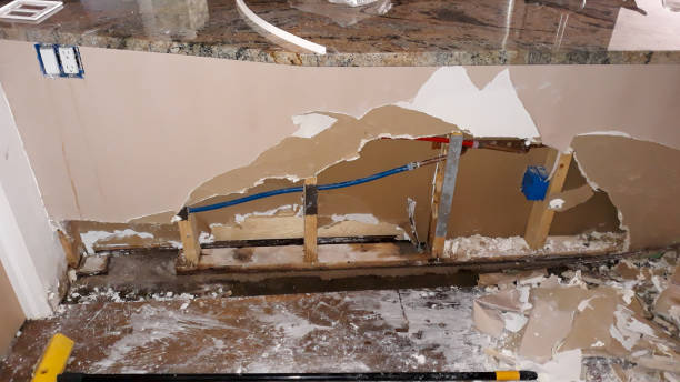 Best 24/7 water damage repair  in New Prague, MN