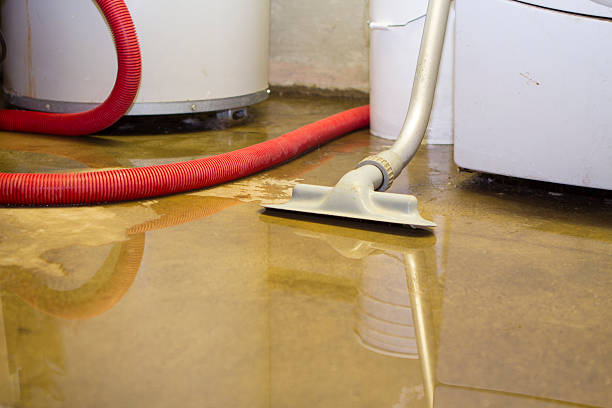 Best Ceiling water damage repair  in New Prague, MN
