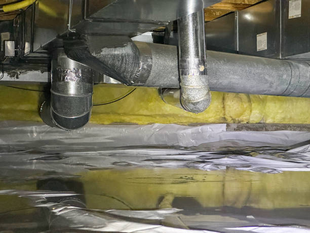 Best Water damage cleanup near me  in New Prague, MN