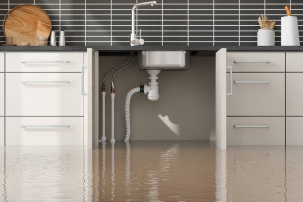 Best Flood damage cleanup  in New Prague, MN