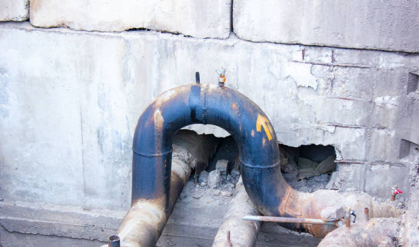 Best Flood damage cleanup  in New Prague, MN
