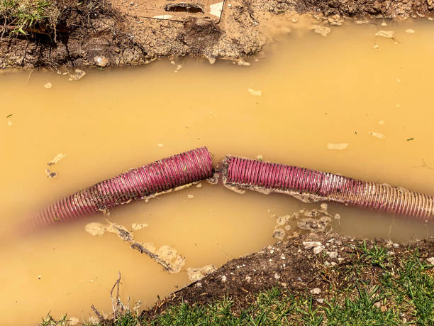 Best Emergency water damage restoration  in New Prague, MN