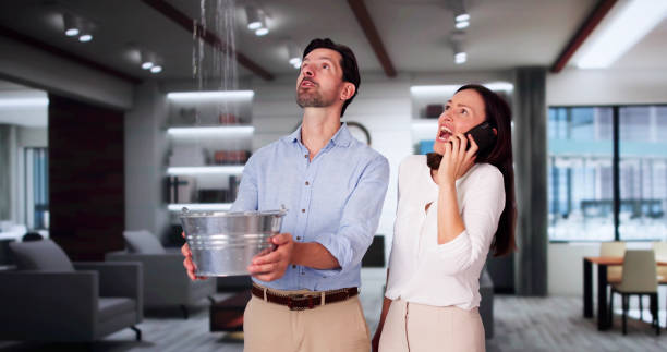 Best Sewage cleanup and water damage restoration  in New Prague, MN