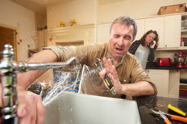 Best Water damage mitigation services  in New Prague, MN